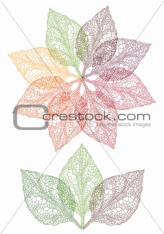 colorful leaf flower, vector 