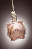 Piggy Bank with Bandage Hanging in Hangman's Noose on Spot Lit Background.