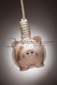 Piggy Bank with Bandage Hanging in Hangman's Noose on Spot Lit Background.
