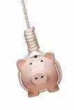 Piggy Bank Hanging in Hangman's Noose Isolated on a White Background.