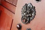 lion door lock