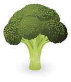 Broccoli illustration