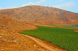  Hills of Samaria