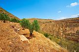 Mountains of Samaria