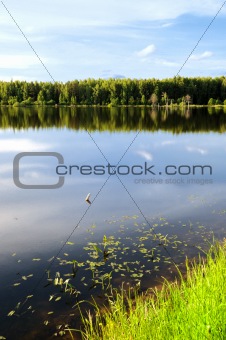 summer morning lake