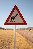 Danger Giraffes Road Sign