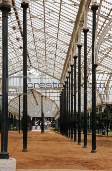 Tall pillars patterns Glass pavillon stand Bangslore Botanica