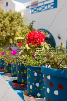 Geranium pots, Santorini, Greece