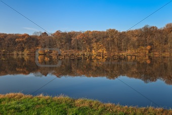 autumn forest on a lake