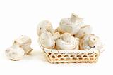 Mushrooms champignon in wooden basket