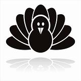 black turkey bird icon