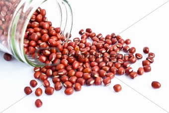 azuki beans in a bottle isolate on white background