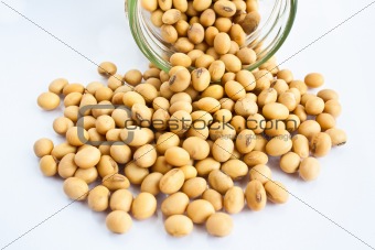 soybean in bottle isolated on white background