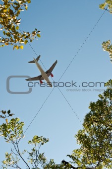 Plane about to land taken through trees