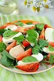 Traditional Italian Caprese Salad mozzarella with tomatoes and basil