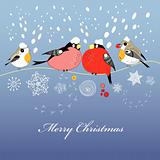 Christmas greeting card with birds