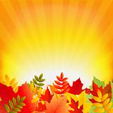 Autumn Background With Sunburst