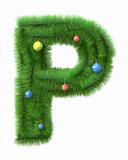 P letter made of christmas tree branches