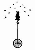 cat on monocycle with birds, vector