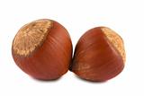 Pair of hazelnuts