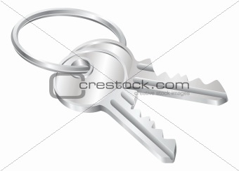 Two keys on a keyring illustration