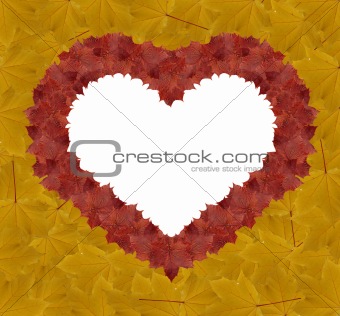 heart shape made leaves