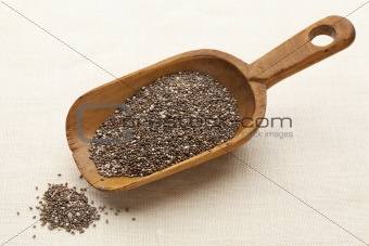 scoop of chia seeds