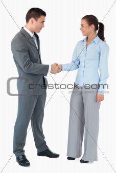 Business partner shaking hands against a white background