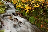 Wahkeena Falls at Columbia River Gorge in the Fall