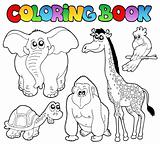 Coloring book tropical animals 2