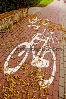 urban bicycle track in autumn