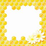 Honeycomb Frame with Flower