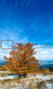 First winter snow and autumn colorful foliage on mountain