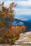 First winter snow and autumn colorful foliage on mountain