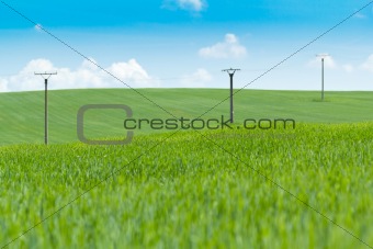 high voltage power lines in field against a blue sky 