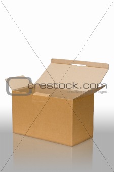 Open brown paper box on floor
