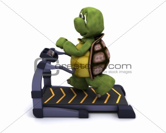 tortoise running on a treadmill