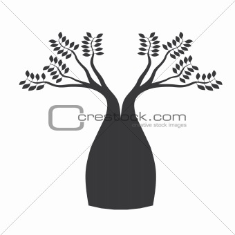 Australian boab tree