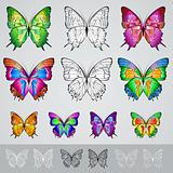 Set of different colored butterflies 