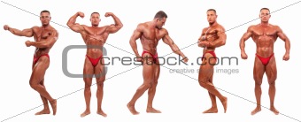  Male body builder demonstrating five poses - isolated