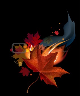 Leaf in fire