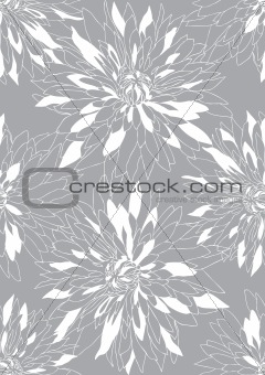 gray background with white chrysanthemums