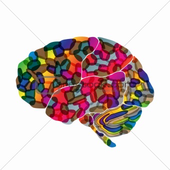 human brain, vector abstract background