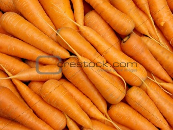 carrots background