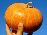 hand with pumpkin