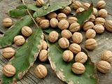 walnuts with leaves 