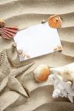 copyspace blank space summer starfish sand shells