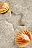 beach sand summer clam shell star print vacation