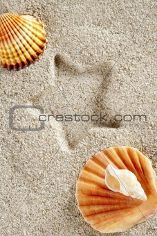 beach sand summer clam shell star print vacation