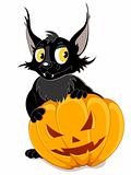 Black bat and Halloween pumpkin